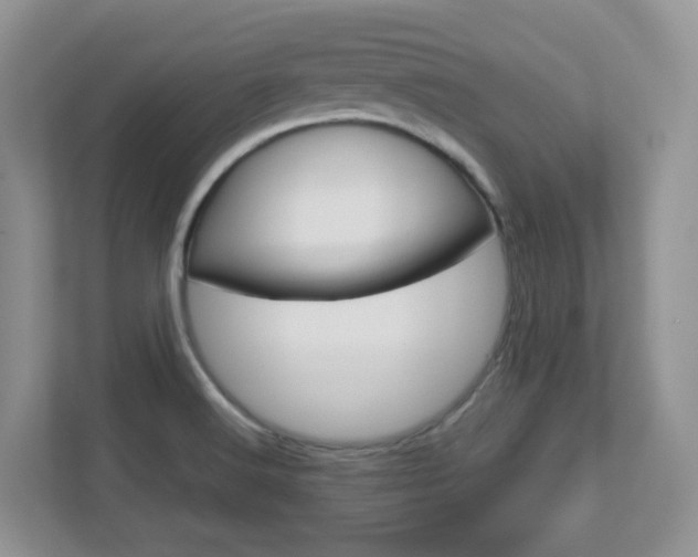 X0000112761516200908201023