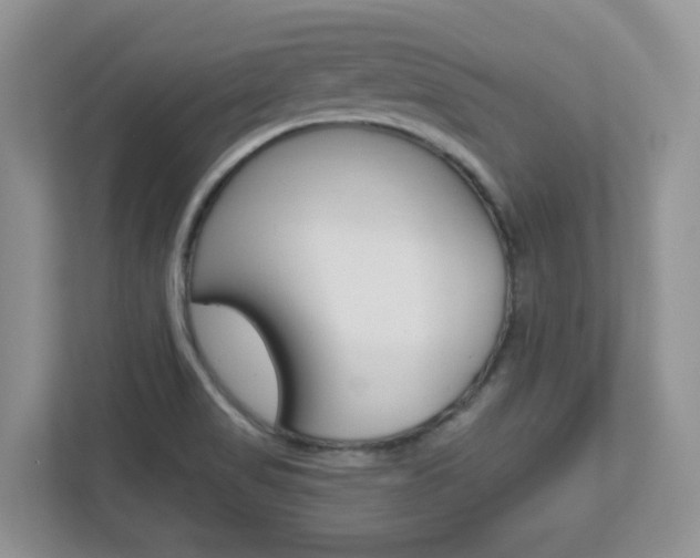 X0000112761517200908201023
