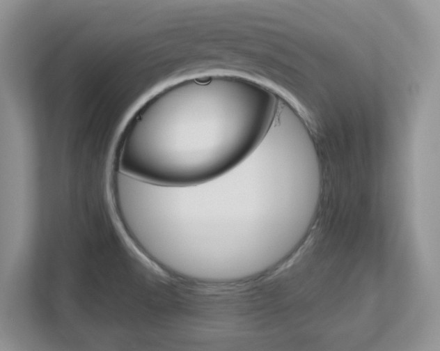 X0000112761518200908201023