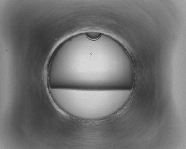 X0000112761519200908201023