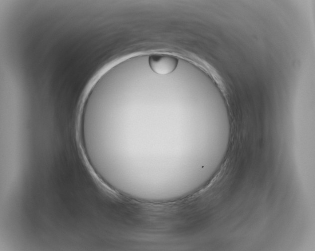 X0000112761520200908201023