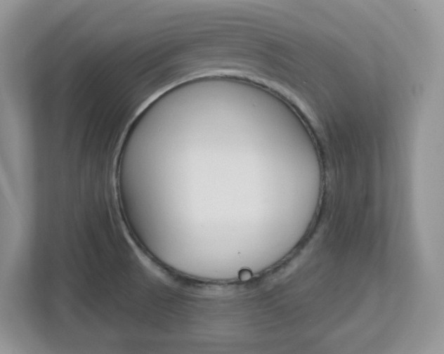 X0000112761521200908201023
