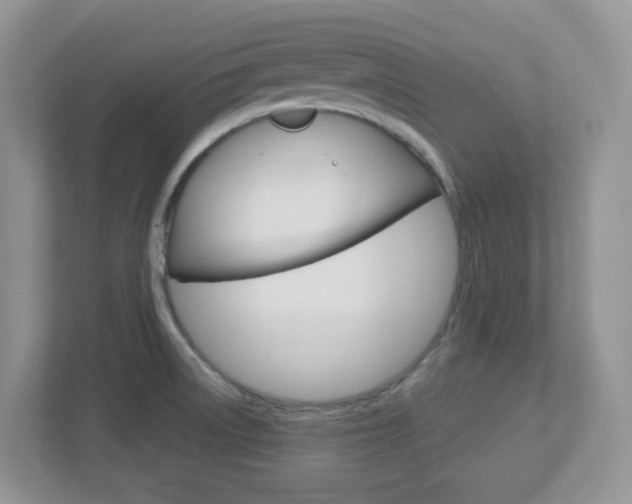 X0000112761522200908201023
