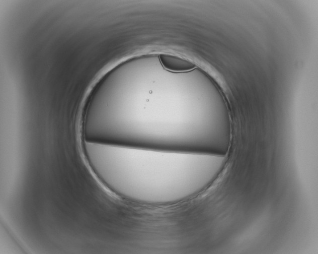 X0000112761525200908201023