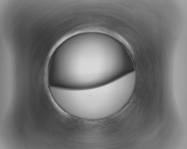 X0000112761528200908201023