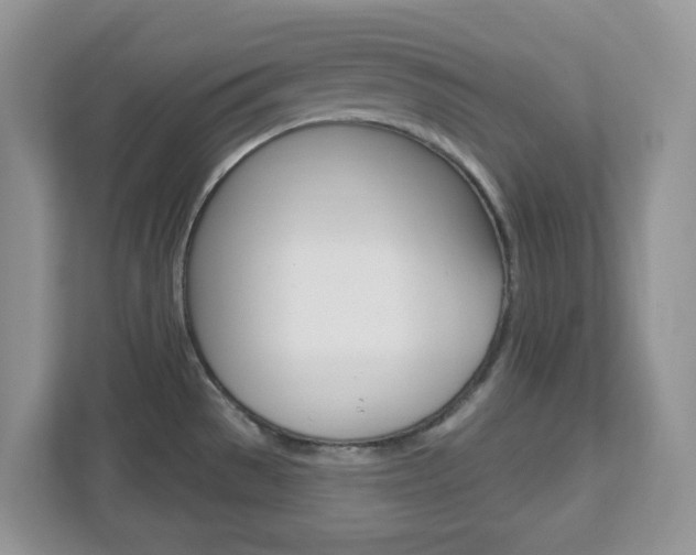 X0000112761529200908201023