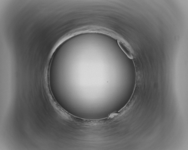 X0000112761530200908201023