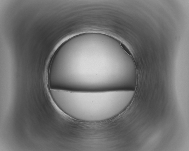 X0000112761531200908201023