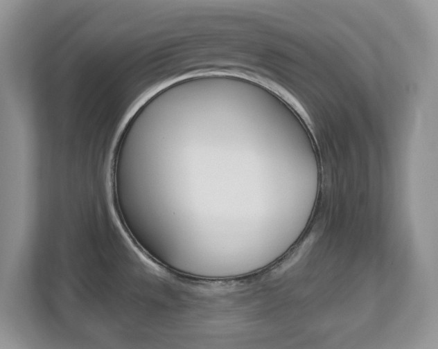 X0000112761533200908201023