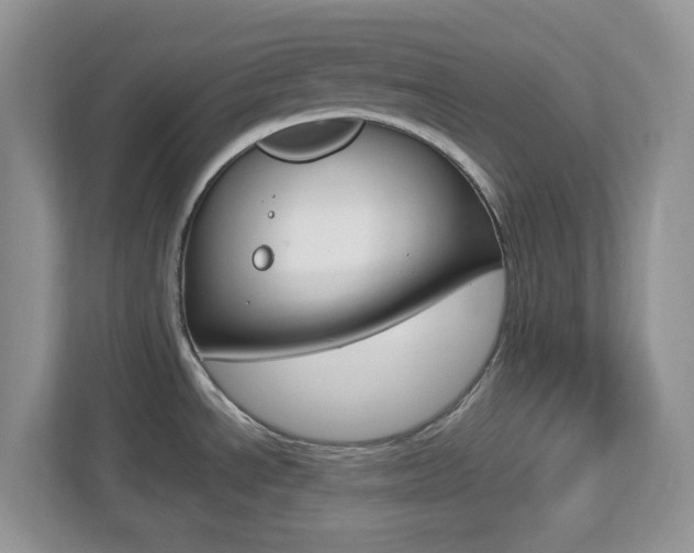 X0000112761534200908201023