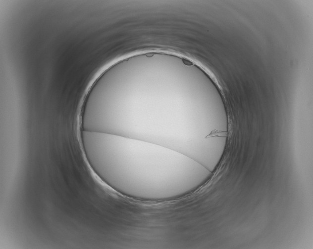 X0000112761535200908201023