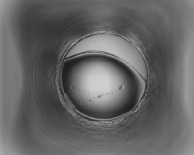 X0000112760001200908201447