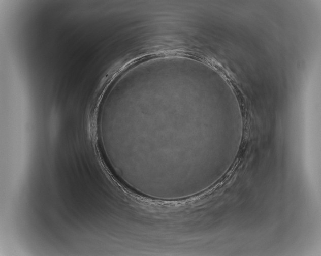 X0000112760002200908201447