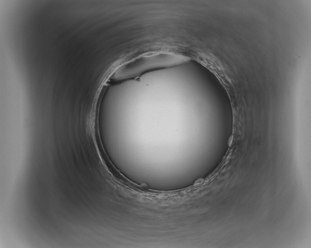 X0000112760003200908201447