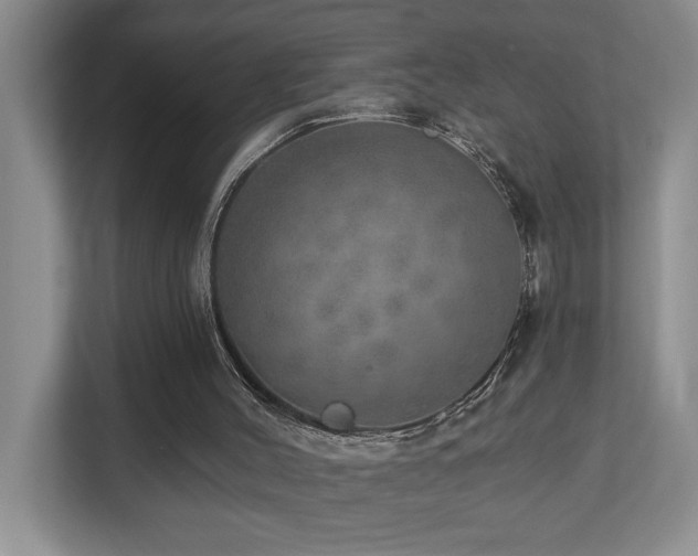 X0000112760004200908201447