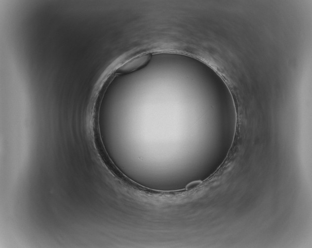 X0000112760007200908201447