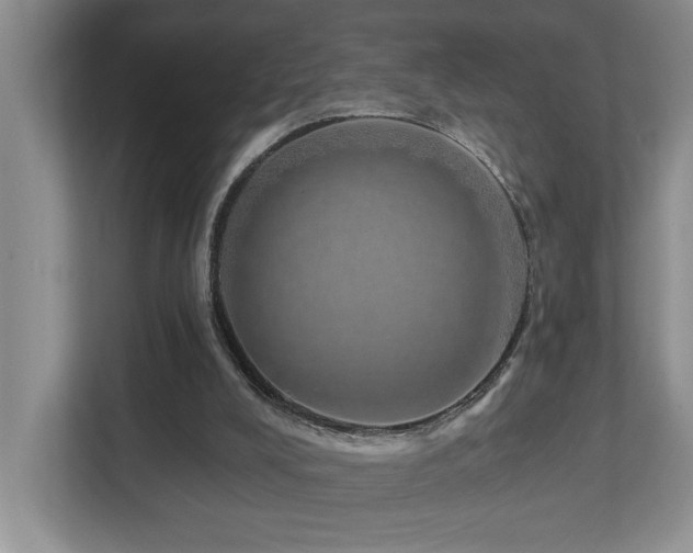 X0000112760008200908201447