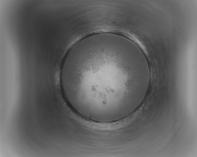 X0000112760010200908201447