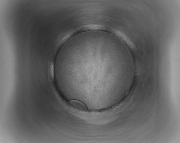 X0000112760014200908201447
