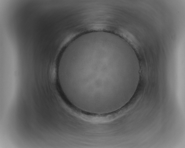 X0000112760016200908201447