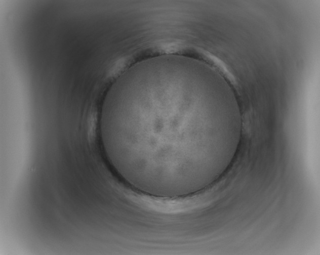 X0000112760018200908201447