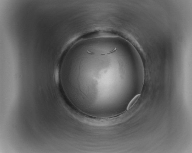 X0000112760019200908201447