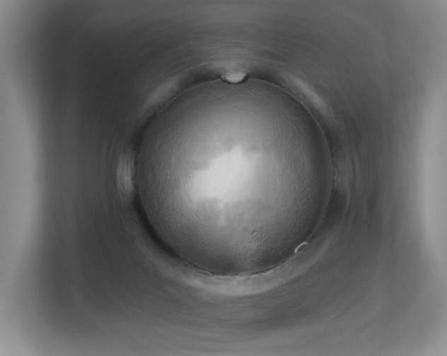 X0000112760023200908201447