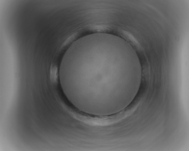 X0000112760024200908201447