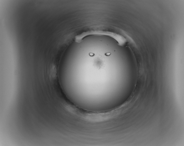 X0000112760025200908201447