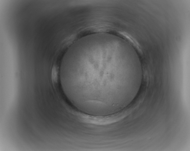 X0000112760026200908201447