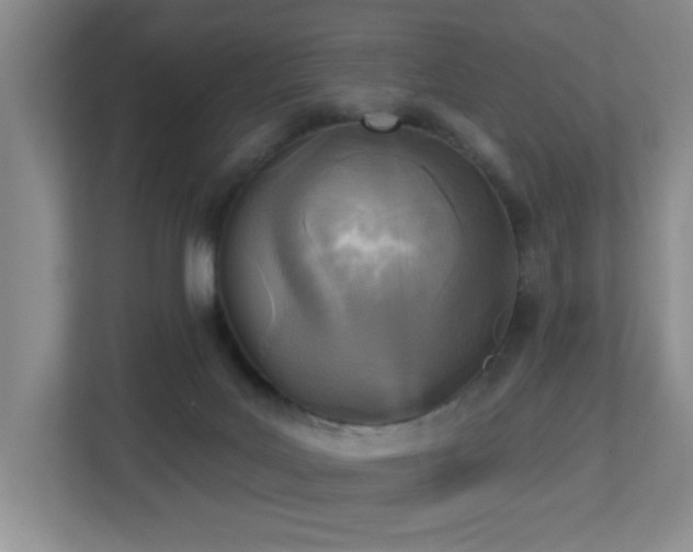 X0000112760027200908201447