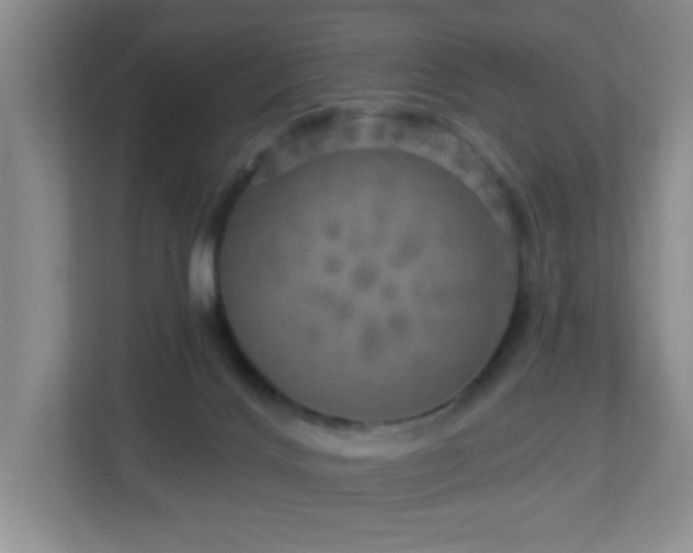 X0000112760028200908201447