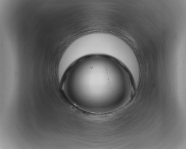 X0000112760029200908201447