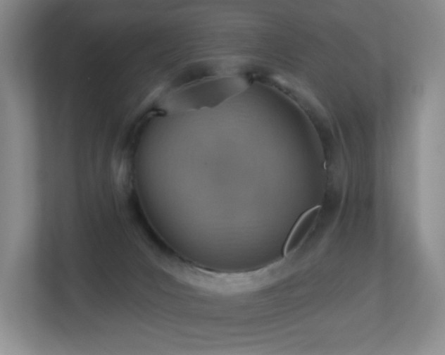 X0000112760031200908201447