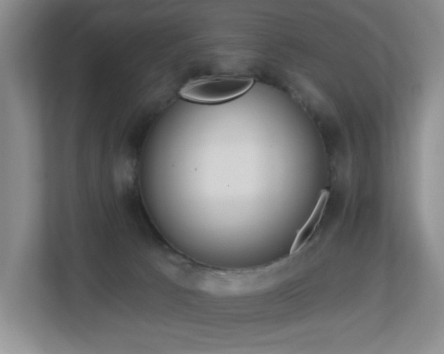 X0000112760033200908201447