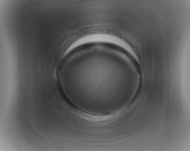 X0000112760035200908201447