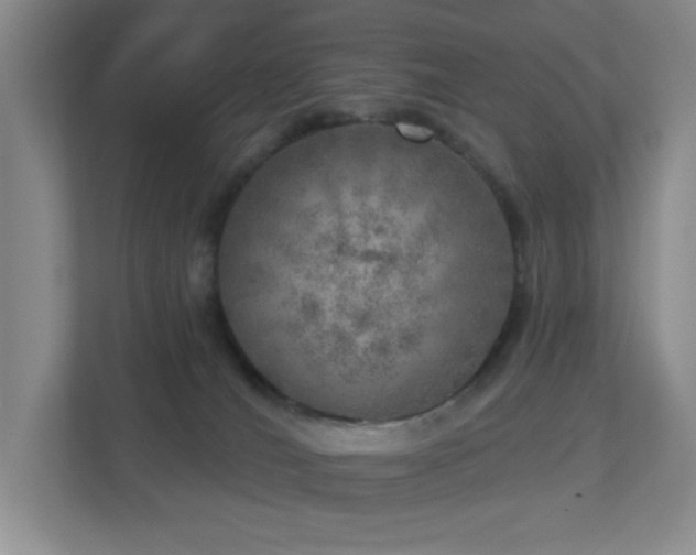 X0000112760036200908201447