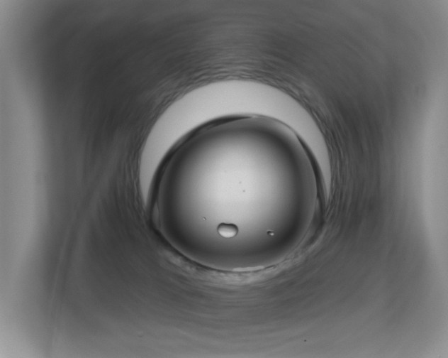 X0000112760037200908201447