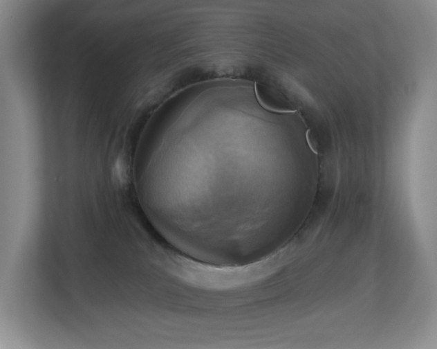 X0000112760039200908201447