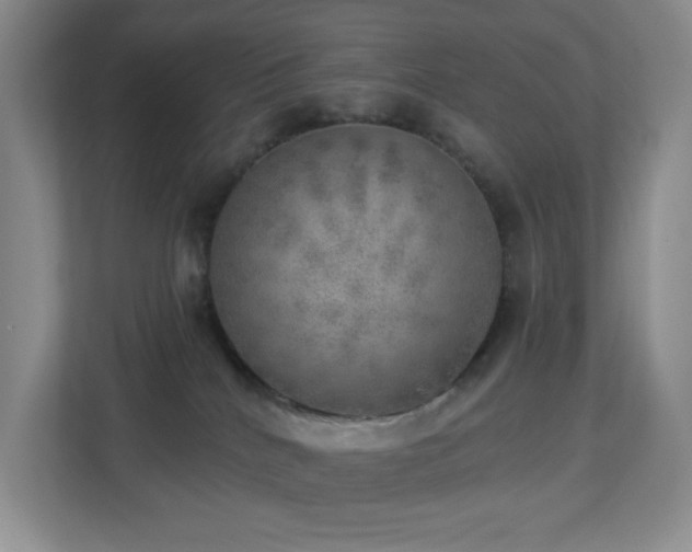 X0000112760040200908201447