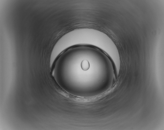 X0000112760045200908201447