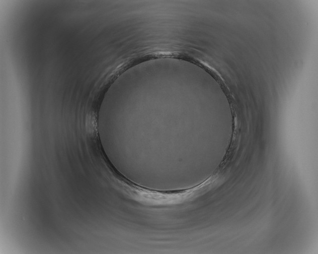 X0000112760048200908201446