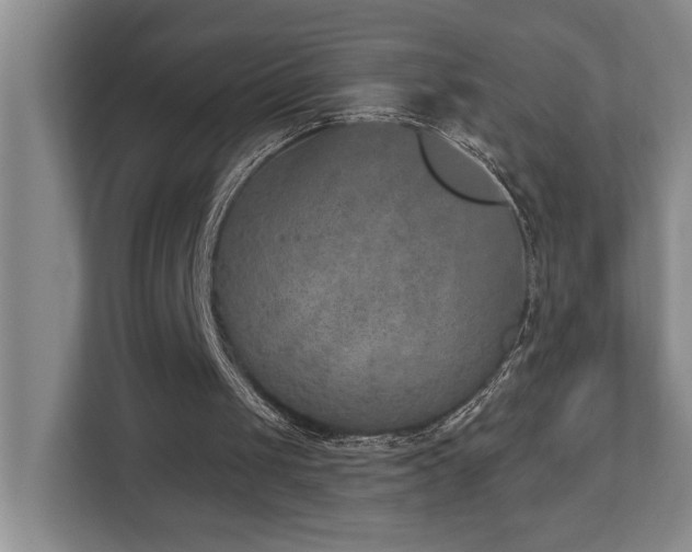 X0000112760049200908201446