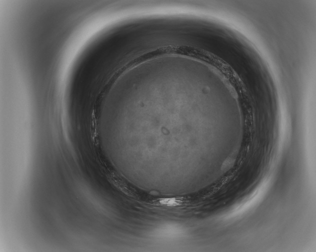 X0000112760050200908201446