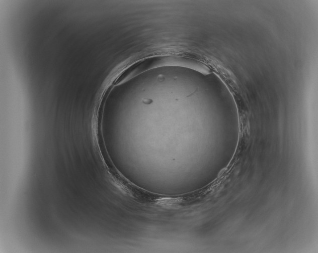 X0000112760051200908201446