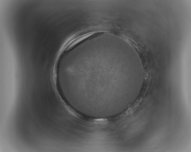 X0000112760053200908201446