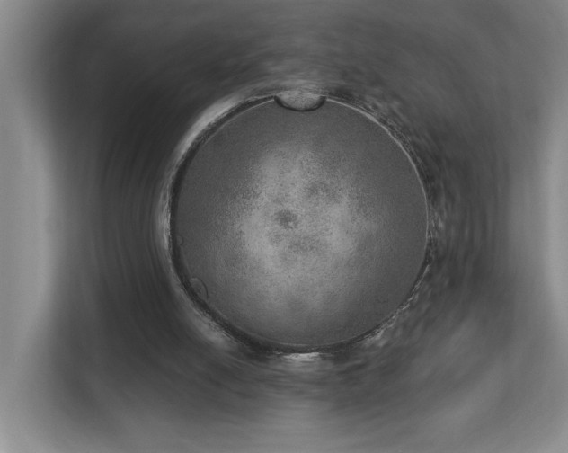 X0000112760054200908201446