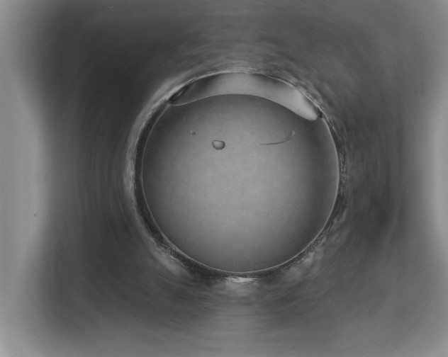 X0000112760055200908201446
