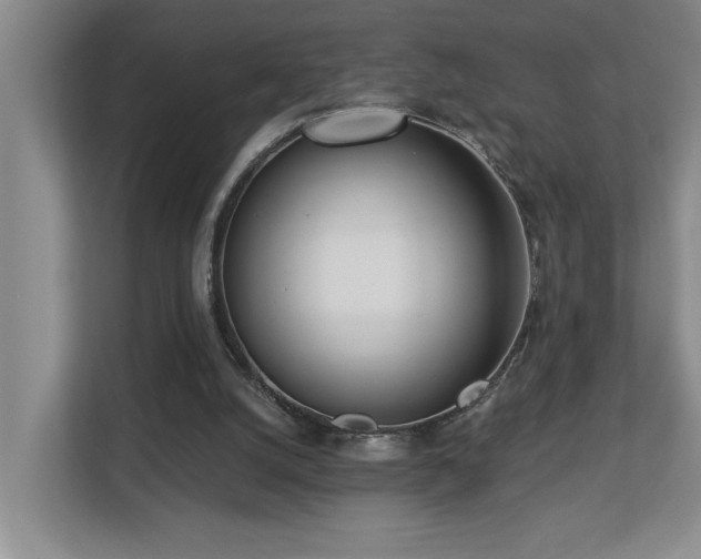 X0000112760056200908201446
