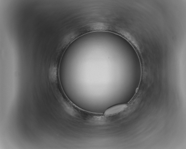X0000112760057200908201446